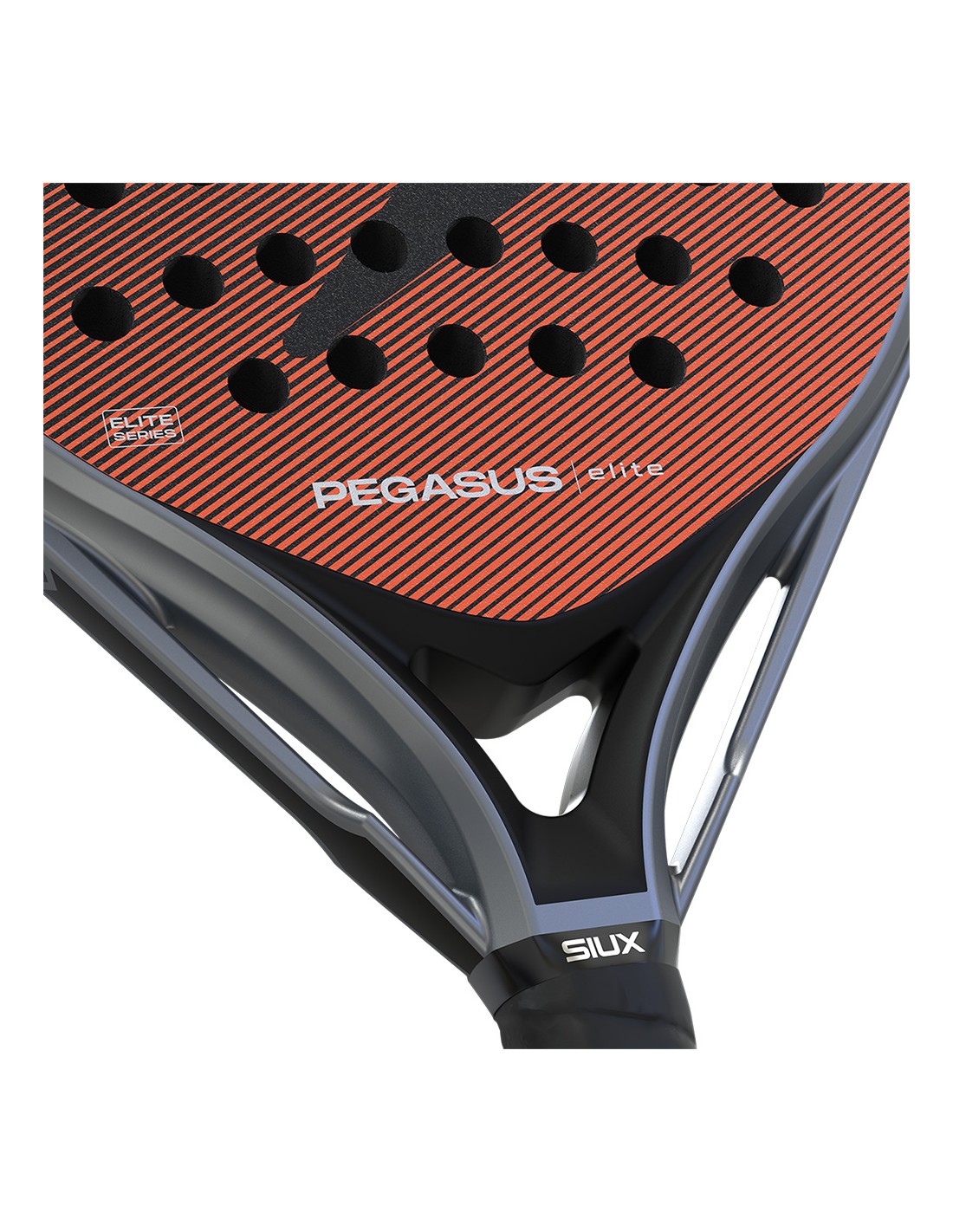 SIUX Pegasus Elite 4 2026